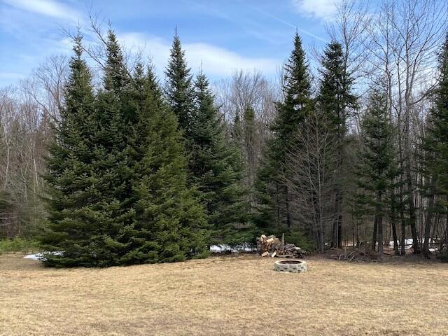 31 Wilson View Drive Greenville, ME 04441 - Photo 10 of 53 IMG_4878