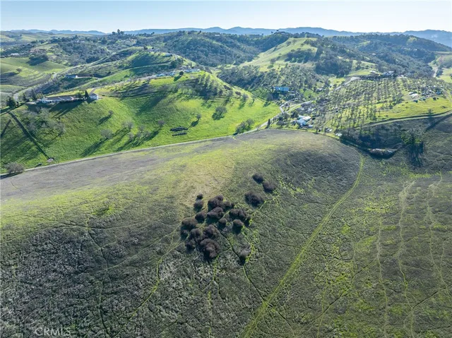 a view of a lush green hillside and a forest