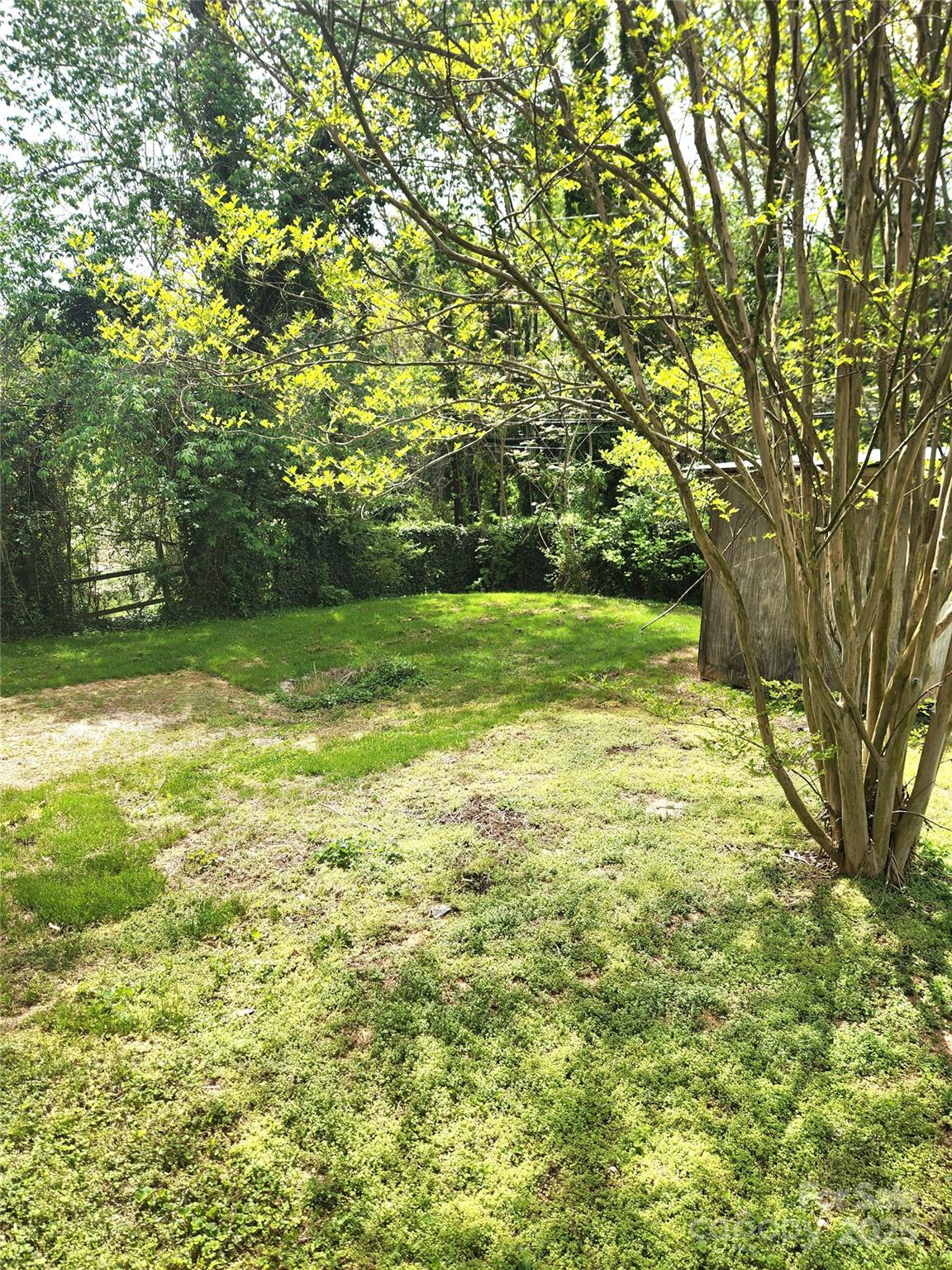 47 Gladstone Road Asheville, NC 28805 - Photo 29 of 30 Gallery Image 29