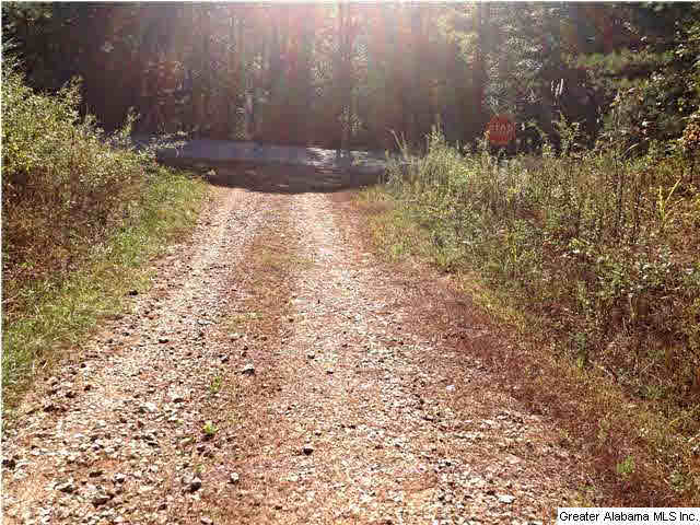 0 County Road 229, Unit 22 AC Fruithurst, AL 36262 - Photo 10 of 12