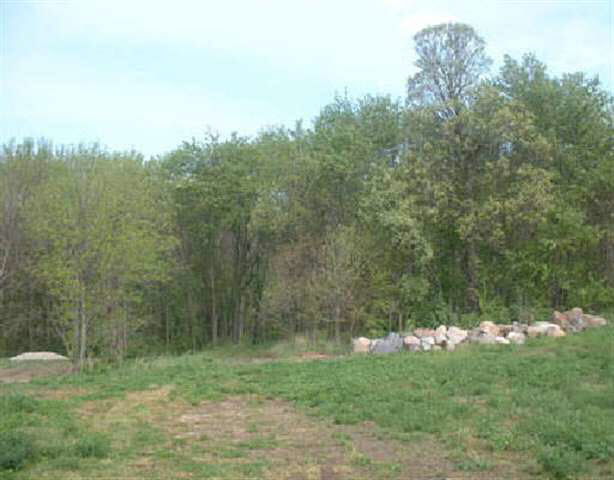 Lot 1 Highway 52 Gilbert, WV 25621 - Photo 3 of 5 Gallery Image 3