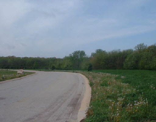 Lot 1 Highway 52 Gilbert, WV 25621 - Photo 4 of 5 Gallery Image 4