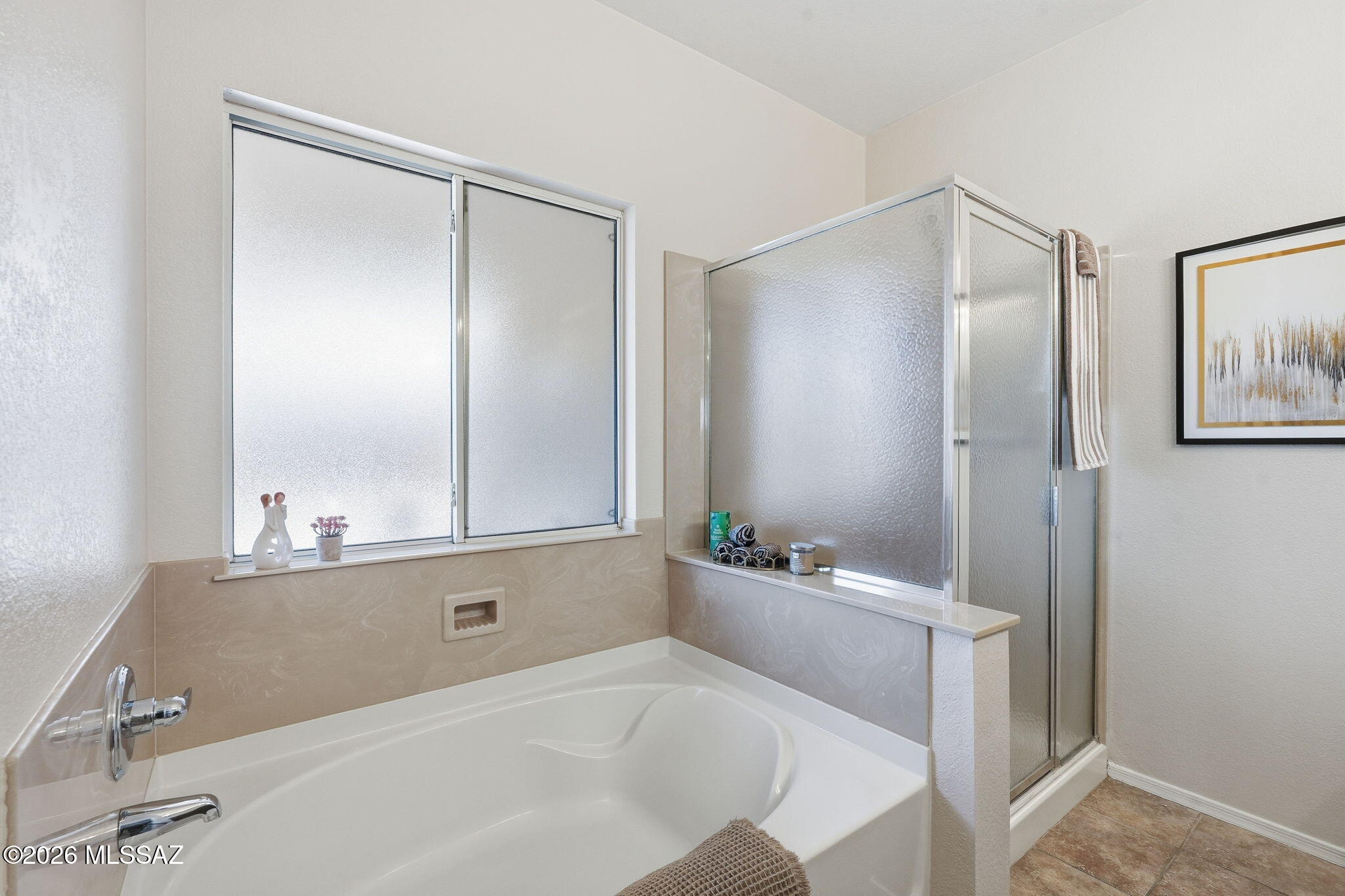 14950 North Capriole Road Tucson, AZ 85739 - Photo 18 of 33 032_ListerPros
