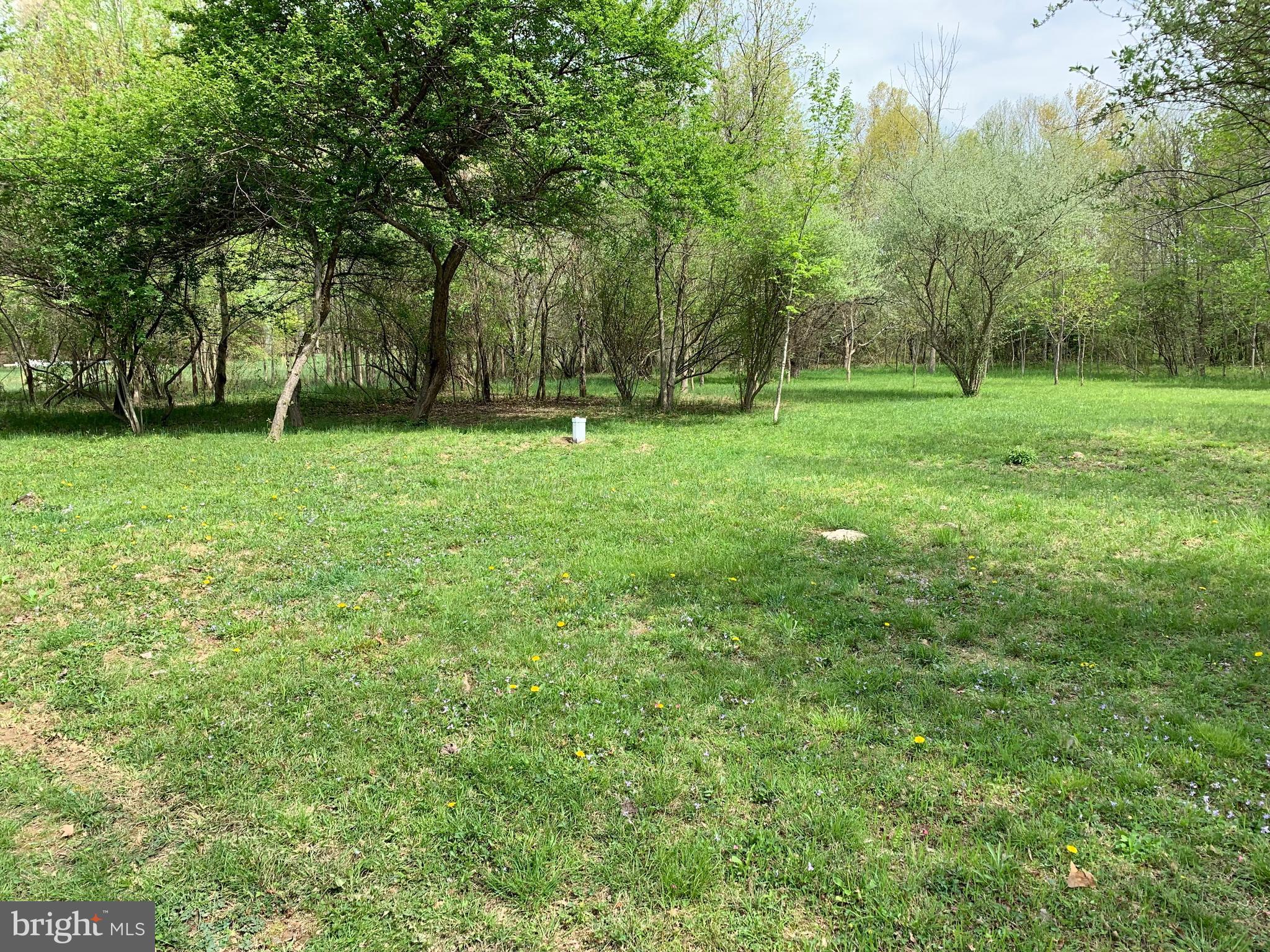 3044 James Run Road Churchville, MD 21028 - Photo 2 of 16 View of well head and lot area