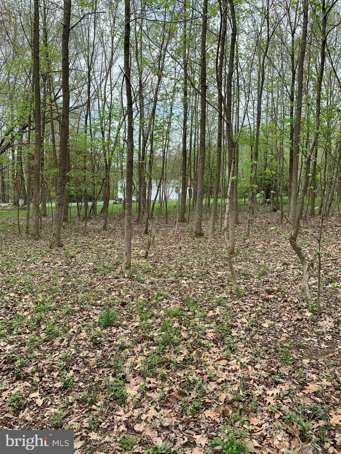 3044 James Run Road Churchville, MD 21028 - Photo 16 of 16 View