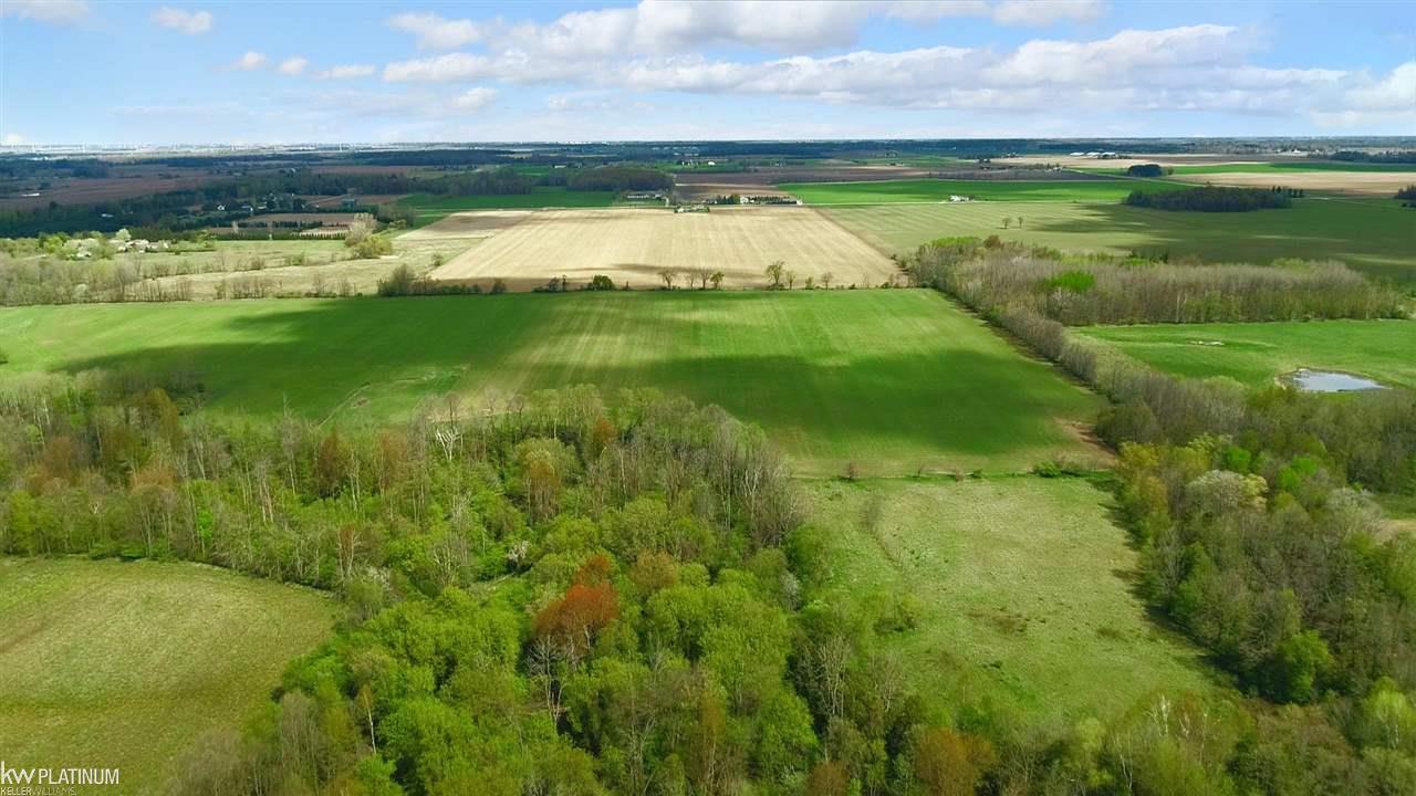 0 Rescue Road Owendale, MI 48754 - Photo 6 of 20