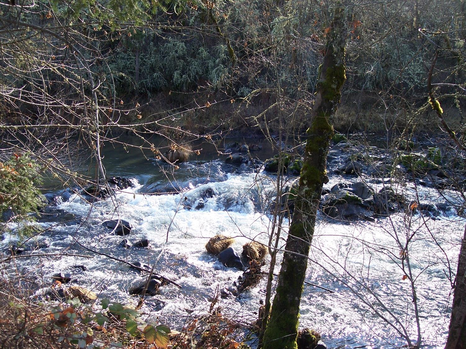 296 Elk Creek Road Trail, OR 97541 - Photo 16 of 22 Additional Photo