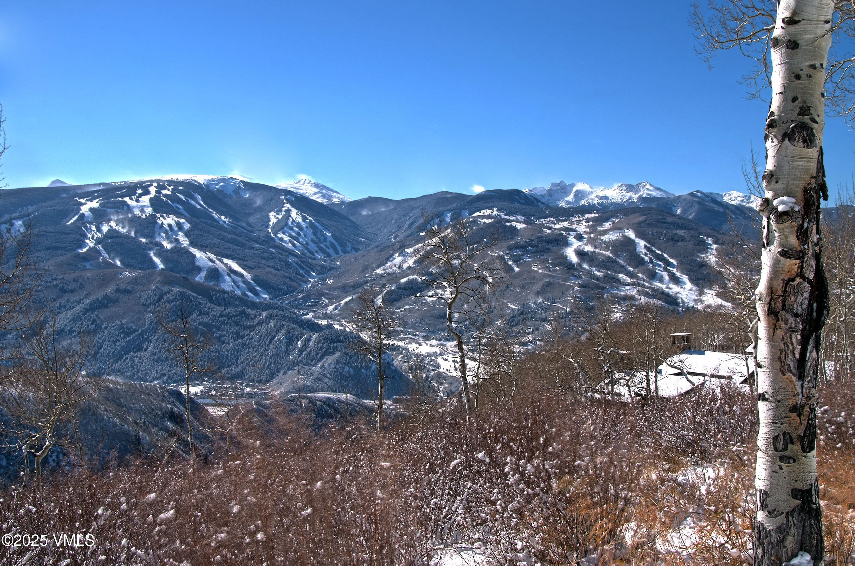 56 Rose Crown Avon, CO 81620 - Photo 37 of 39 a view of a large tree