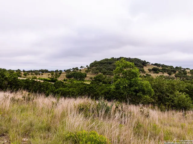 $449,000 | Lot 95 Big Sky, Blanco, TX 78606
