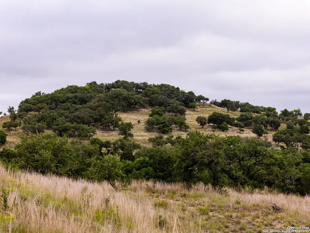 $449,000 | Lot 95 Big Sky, Blanco, TX 78606