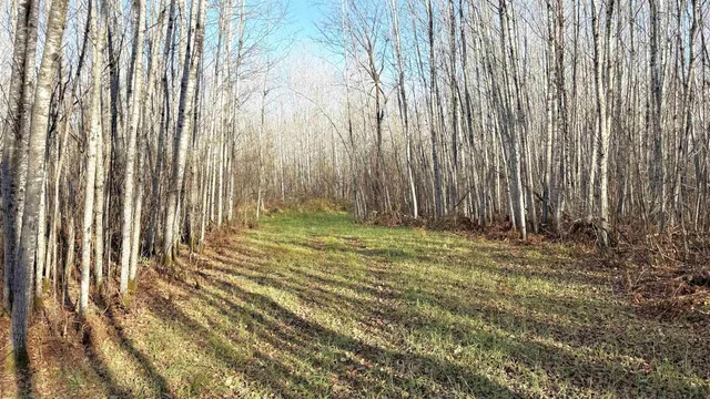 $70,000 | 11680 County Road 59, Orr, MN 55771