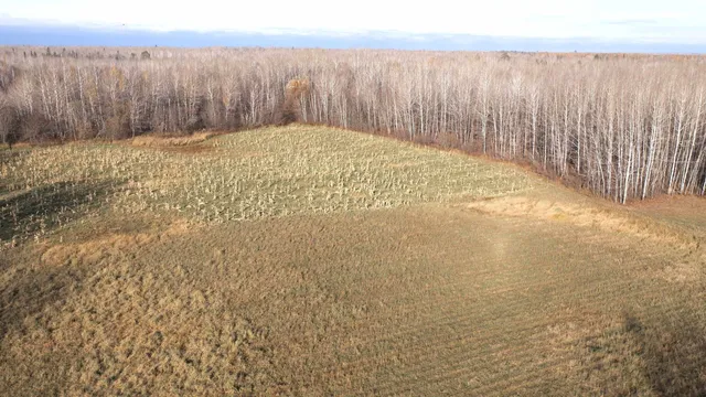 $70,000 | 11680 County Road 59, Orr, MN 55771