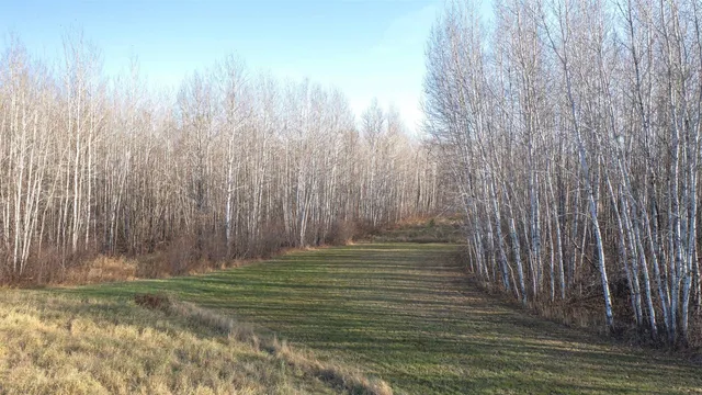 $70,000 | 11680 County Road 59, Orr, MN 55771