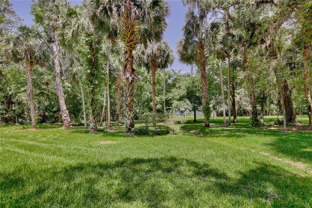 183 Parsons Road Longwood, FL 32779 - Photo 43 of 100