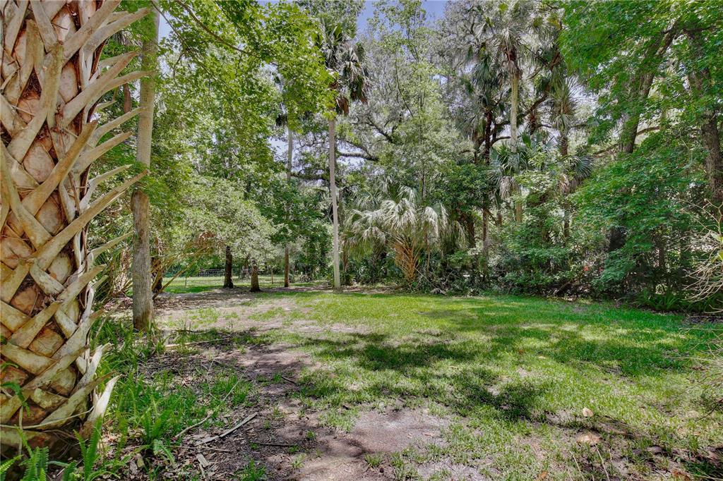 183 Parsons Road Longwood, FL 32779 - Photo 45 of 100