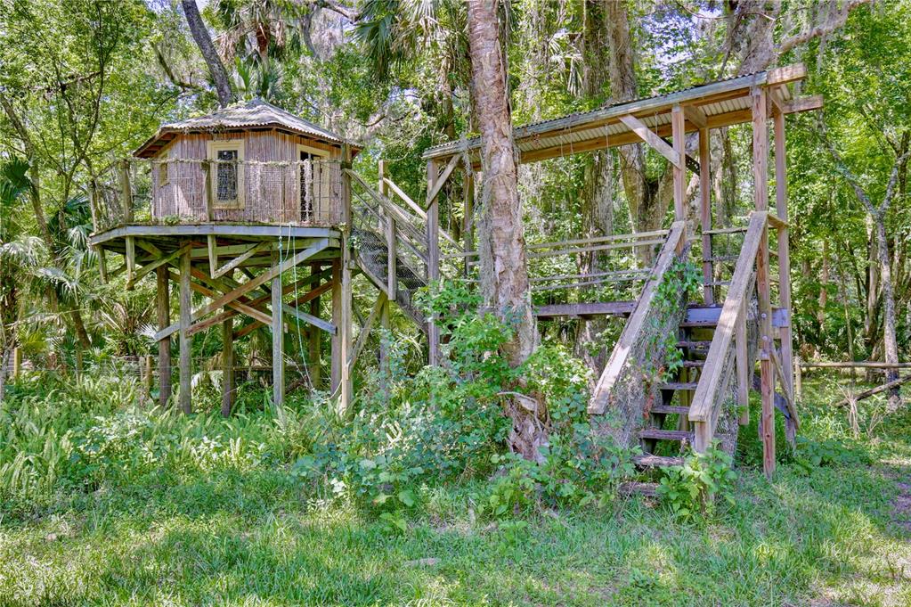 183 Parsons Road Longwood, FL 32779 - Photo 51 of 100 a yellow house with lots of trees in front of it