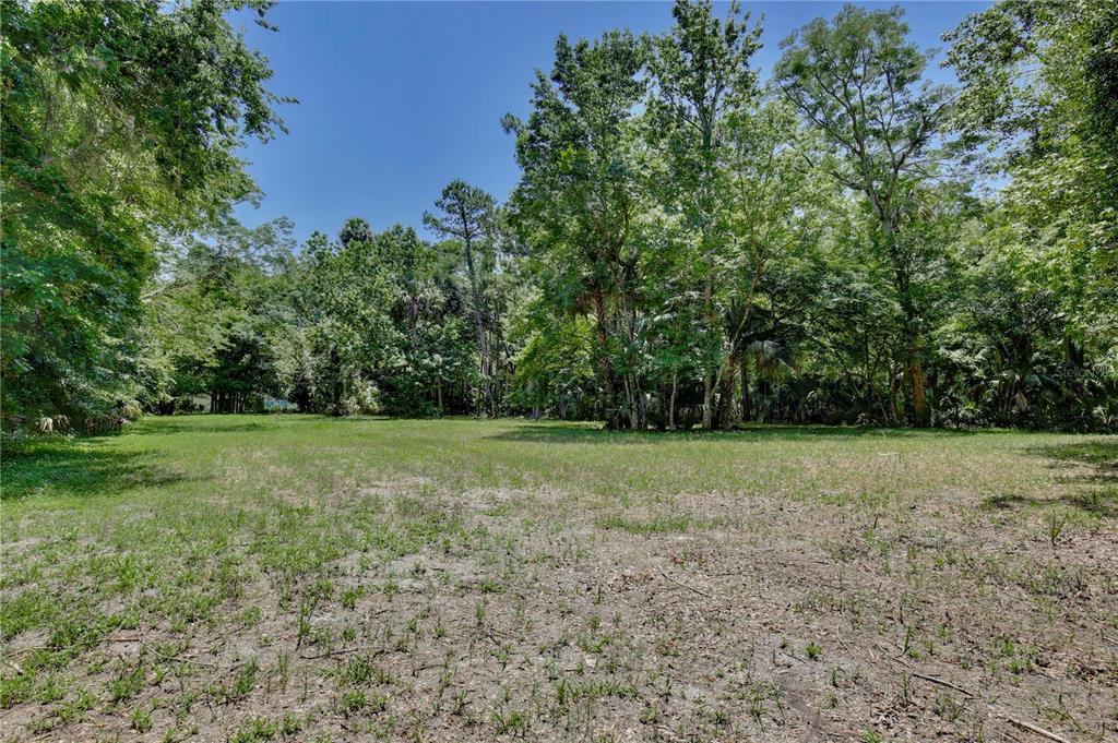 183 Parsons Road Longwood, FL 32779 - Photo 53 of 100 a view of a field with trees in the background
