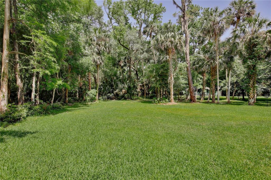 183 Parsons Road Longwood, FL 32779 - Photo 56 of 100 a view of a park with large trees