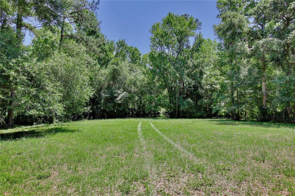 183 Parsons Road Longwood, FL 32779 - Photo 57 of 100 a view of a grassy field with trees in the background