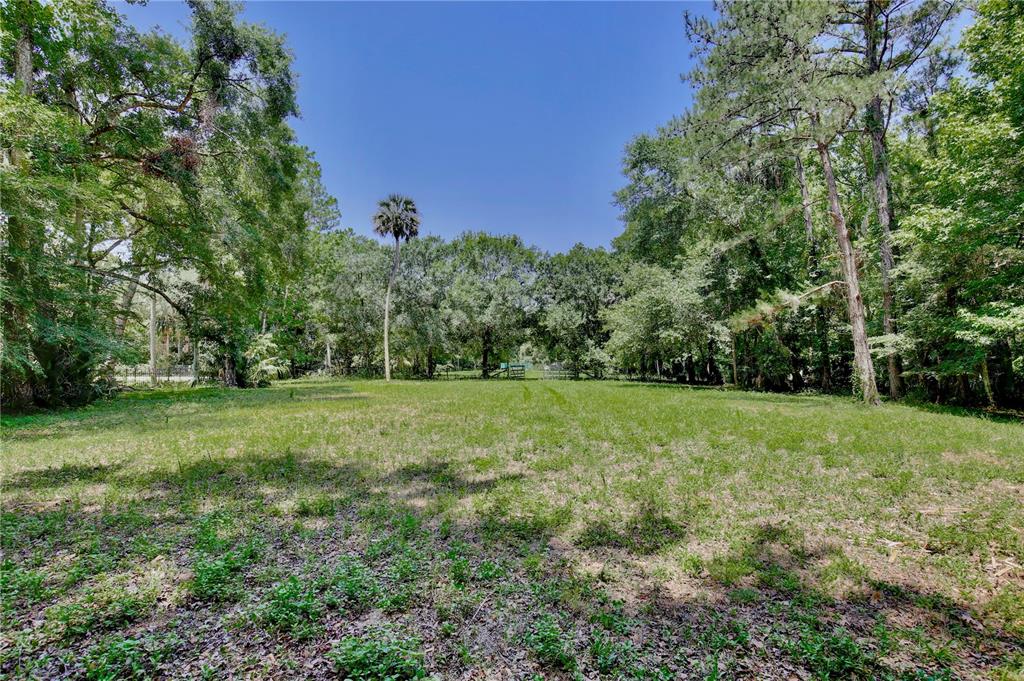 183 Parsons Road Longwood, FL 32779 - Photo 58 of 100 a view of a grassy field with trees