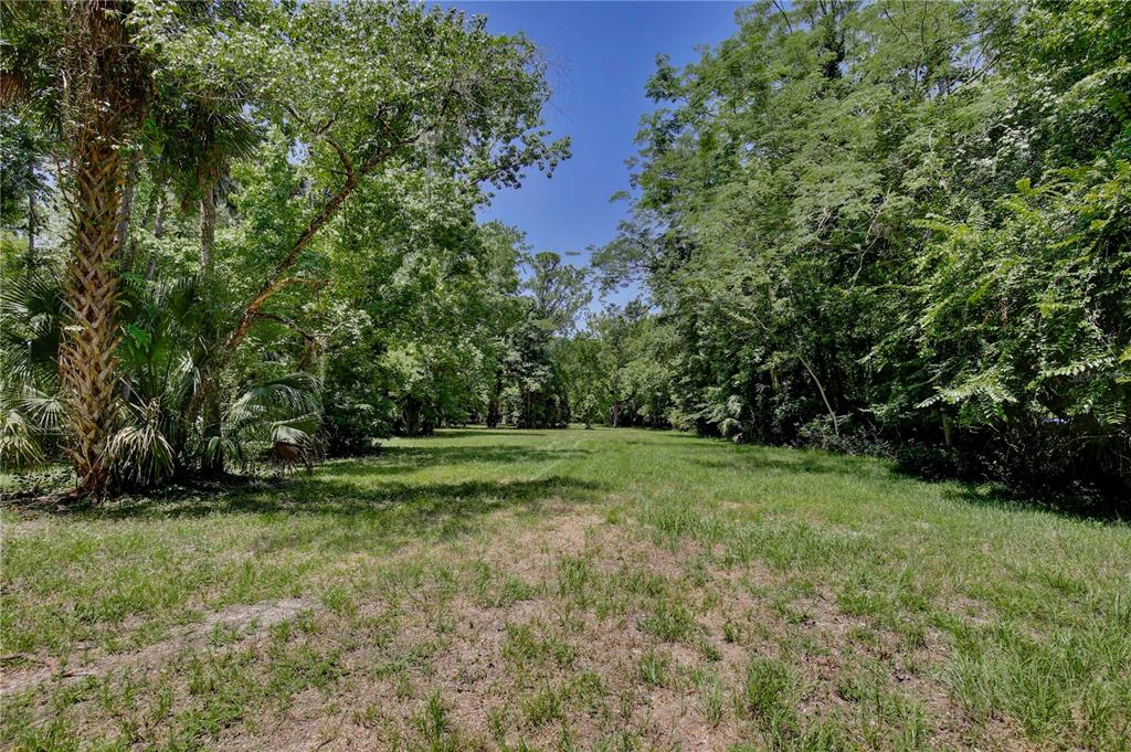 183 Parsons Road Longwood, FL 32779 - Photo 59 of 100 a view of outdoor space and yard