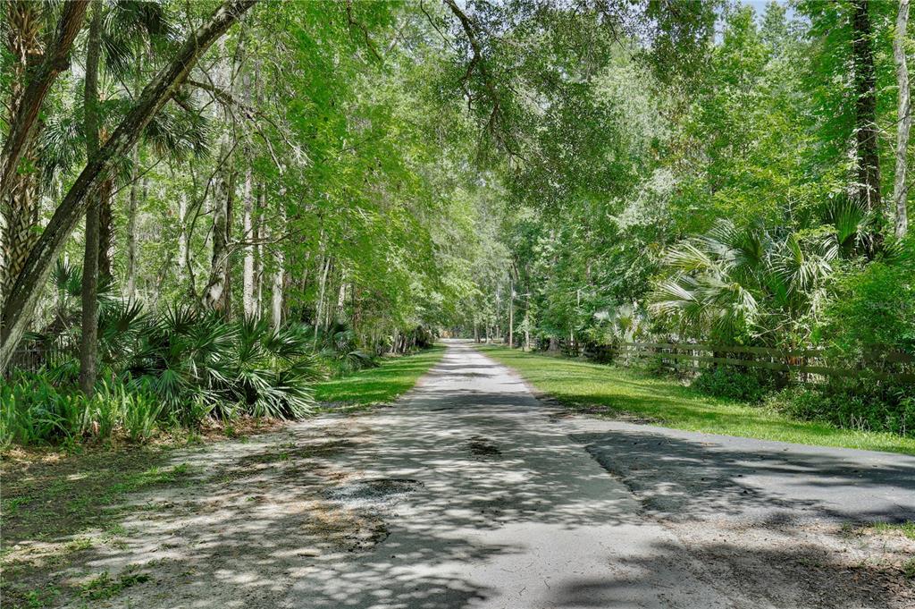 183 Parsons Road Longwood, FL 32779 - Photo 100 of 100 a view of a yard with plants and large trees