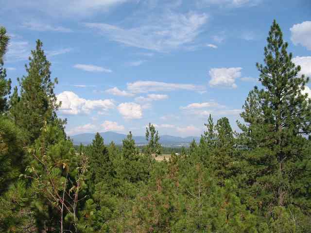 1315 West Austin Road, Unit LOT 1 Spokane, WA 99208 - Photo 1 of 9