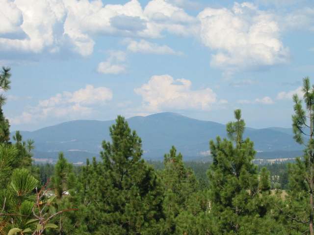 1315 West Austin Road, Unit LOT 1 Spokane, WA 99208 - Photo 2 of 9