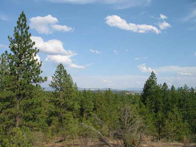 1315 West Austin Road, Unit LOT 1 Spokane, WA 99208 - Photo 4 of 9