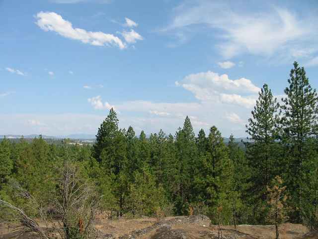 1315 West Austin Road, Unit LOT 1 Spokane, WA 99208 - Photo 5 of 9