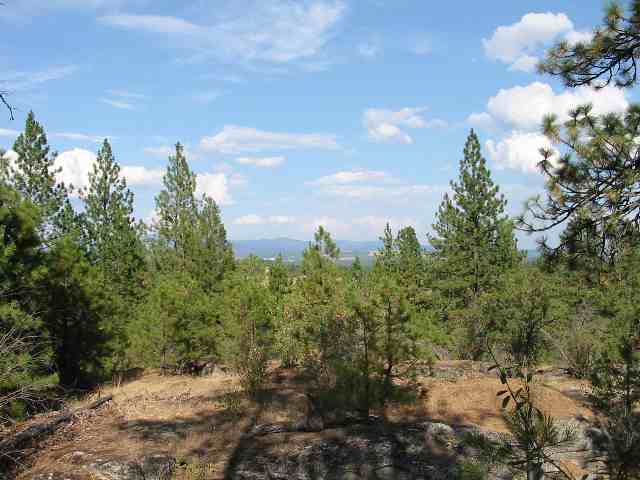 1315 West Austin Road, Unit LOT 1 Spokane, WA 99208 - Photo 6 of 9
