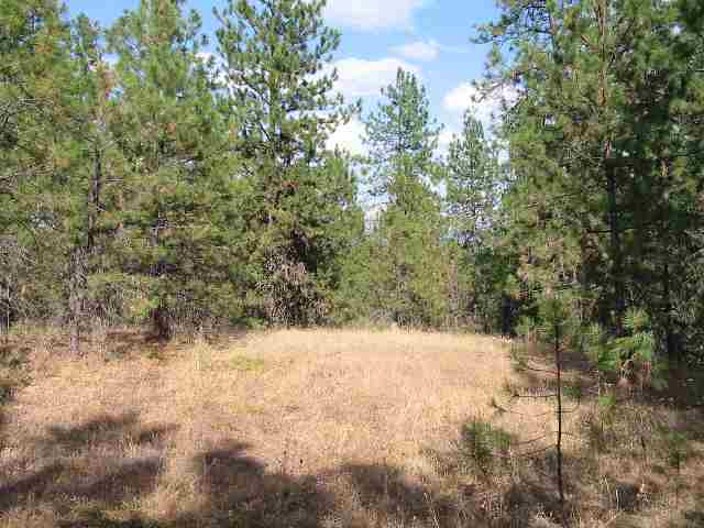 1315 West Austin Road, Unit LOT 1 Spokane, WA 99208 - Photo 7 of 9