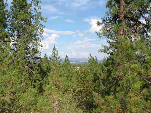 1315 West Austin Road, Unit LOT 1 Spokane, WA 99208 - Photo 8 of 9