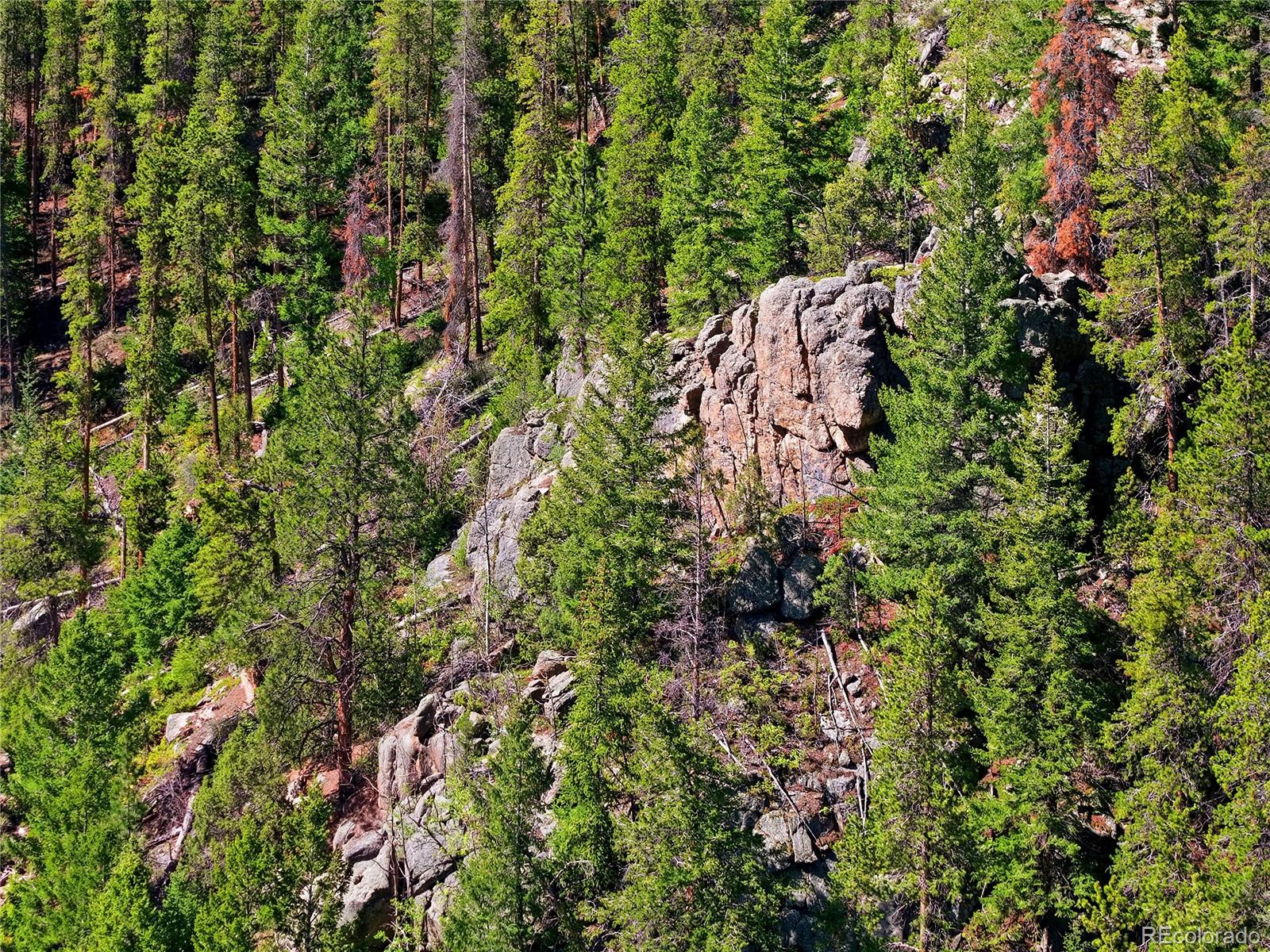 600 Ute Creek Road Idaho Springs, CO 80452 - Photo 23 of 24 a view of a lush green forest with lots of trees