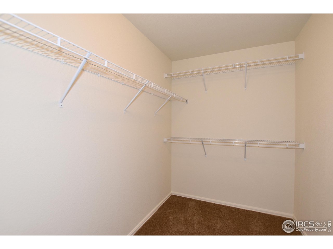 2464 Graceful Street Windsor, CO 80550 - Photo 26 of 37