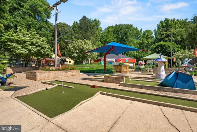 a park with lots of trees and plants