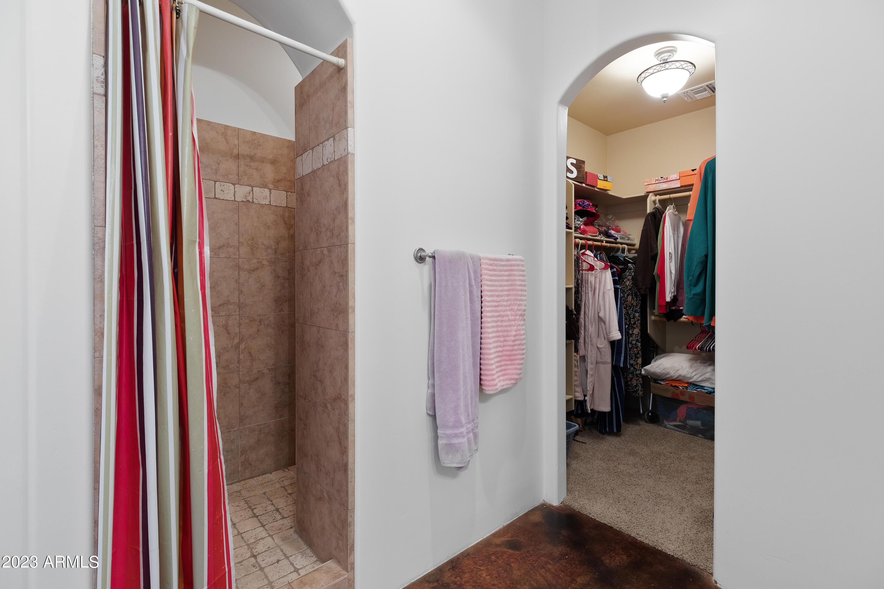 29915 North 172 Rio Verde, AZ 85263 - Photo 25 of 60 Primary Shower