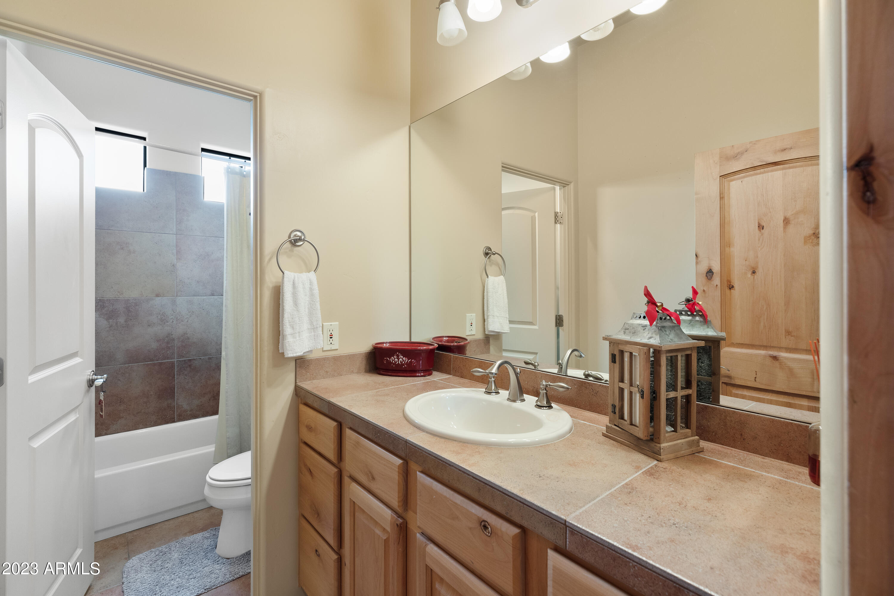 29915 North 172 Rio Verde, AZ 85263 - Photo 27 of 60 Guest Bath
