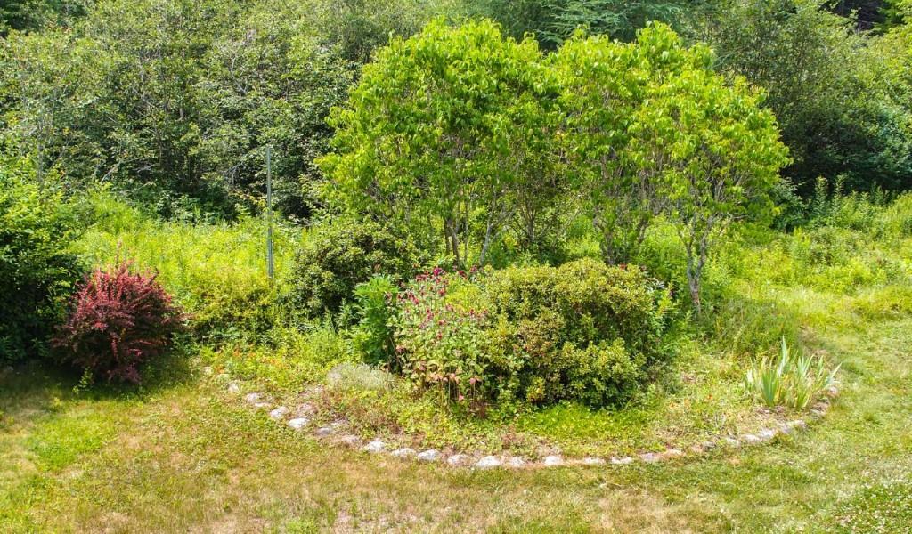 174 Kelleytown Road Tremont, ME 04612 - Photo 9 of 10 Gardens