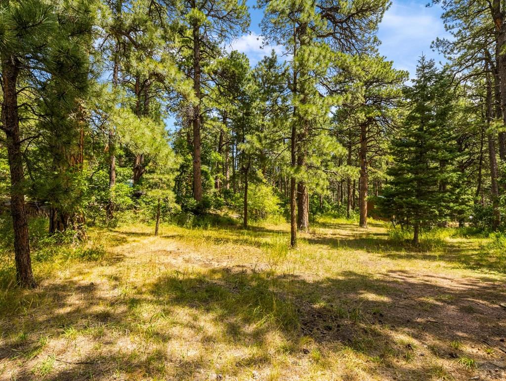 8270 Park Road Rye, CO 81069 - Photo 41 of 49