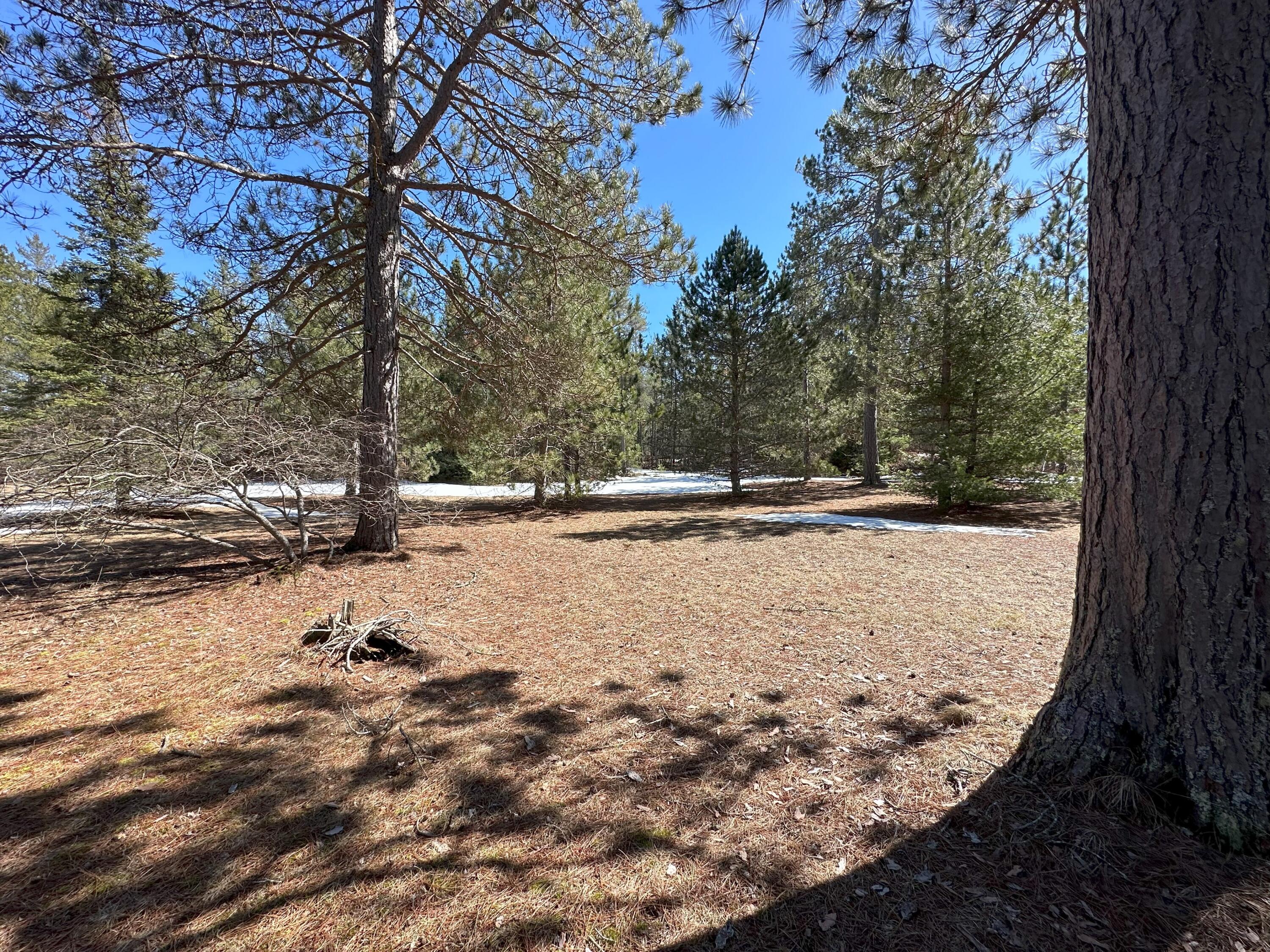 6524 Timber Lost Road Paradise, MI 49768 - Photo 49 of 64 Gallery Image 49