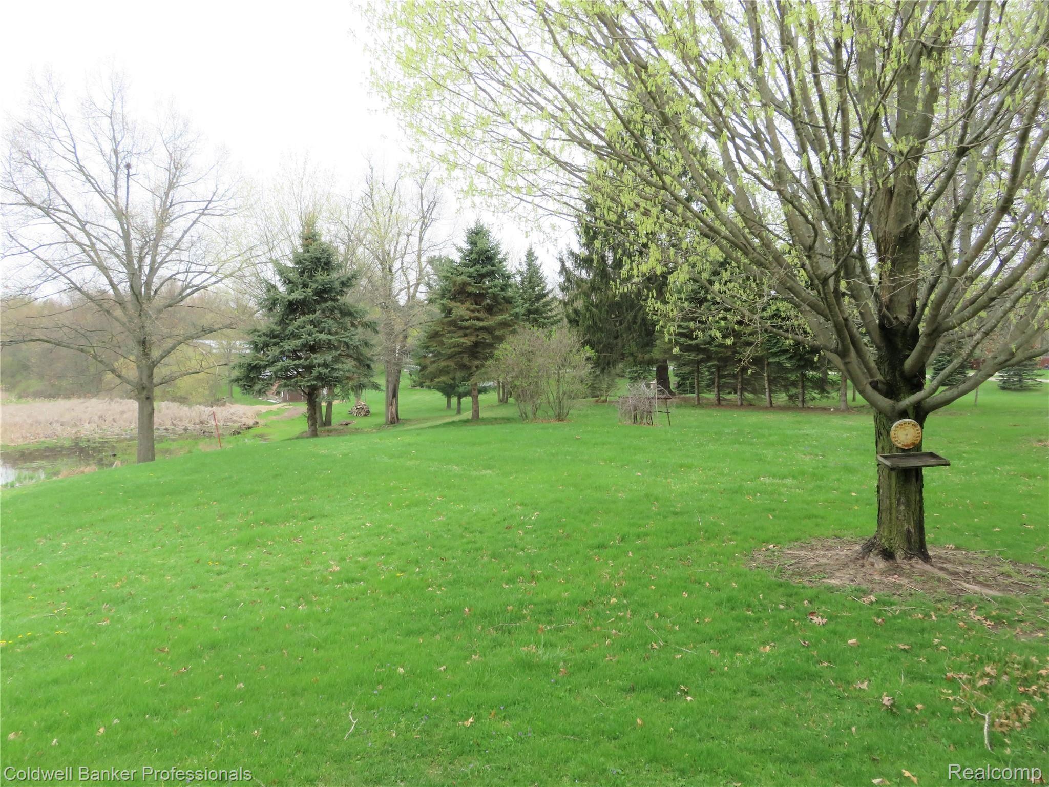 12190 Raelyn Hills Drive Perry, MI 48872 - Photo 27 of 48 26 12190 yard.JPG