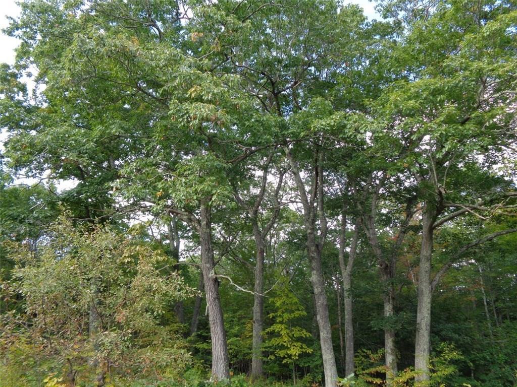 1256 Waldo Station Road Belfast, ME 04915 - Photo 28 of 31 Small stand of oak trees across...