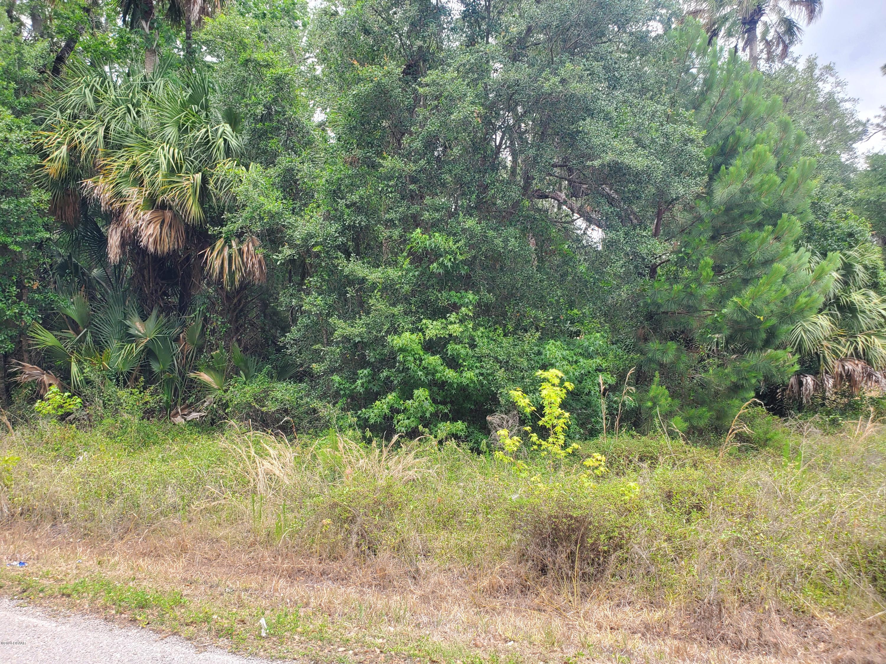1 Shell Harbor Road Pierson, FL 32180 - Photo 2 of 9 Shell Harbor - lot pic