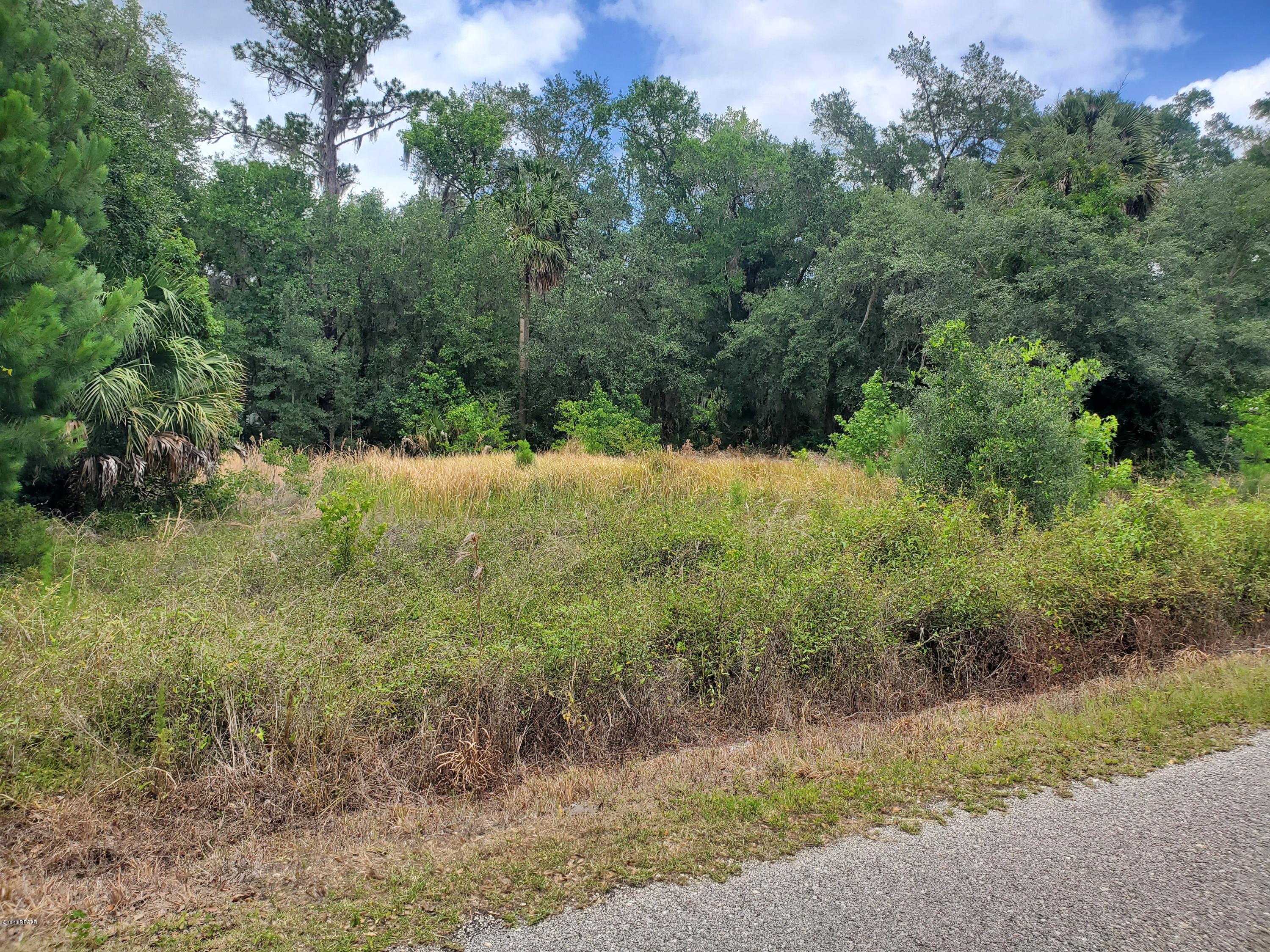 1 Shell Harbor Road Pierson, FL 32180 - Photo 3 of 9 Shell Harbor - lot pic 3