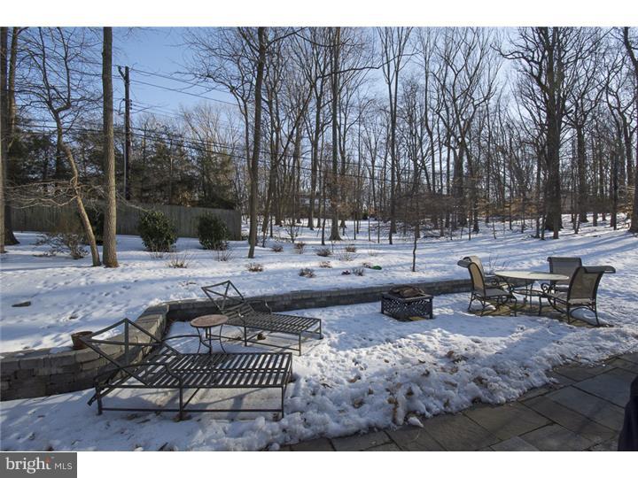 15 Ridgewood Road Radnor, PA 19087 - Photo 22 of 23 Patio