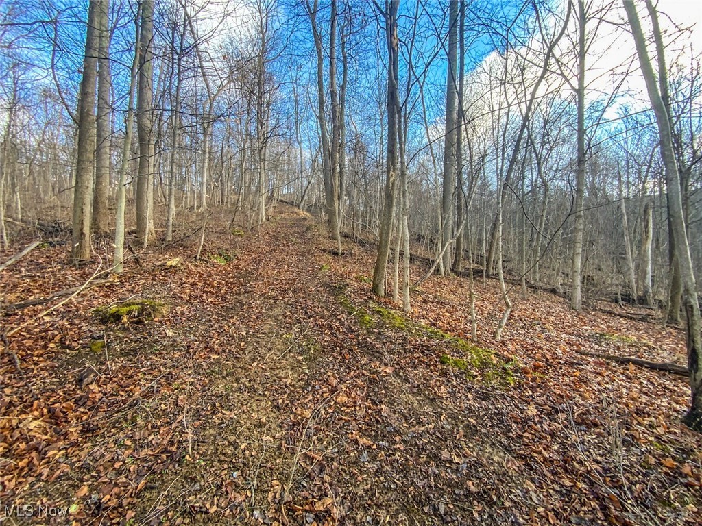 0 New Cut Road Shadyside, OH 43947 - Photo 7 of 37 View of nature