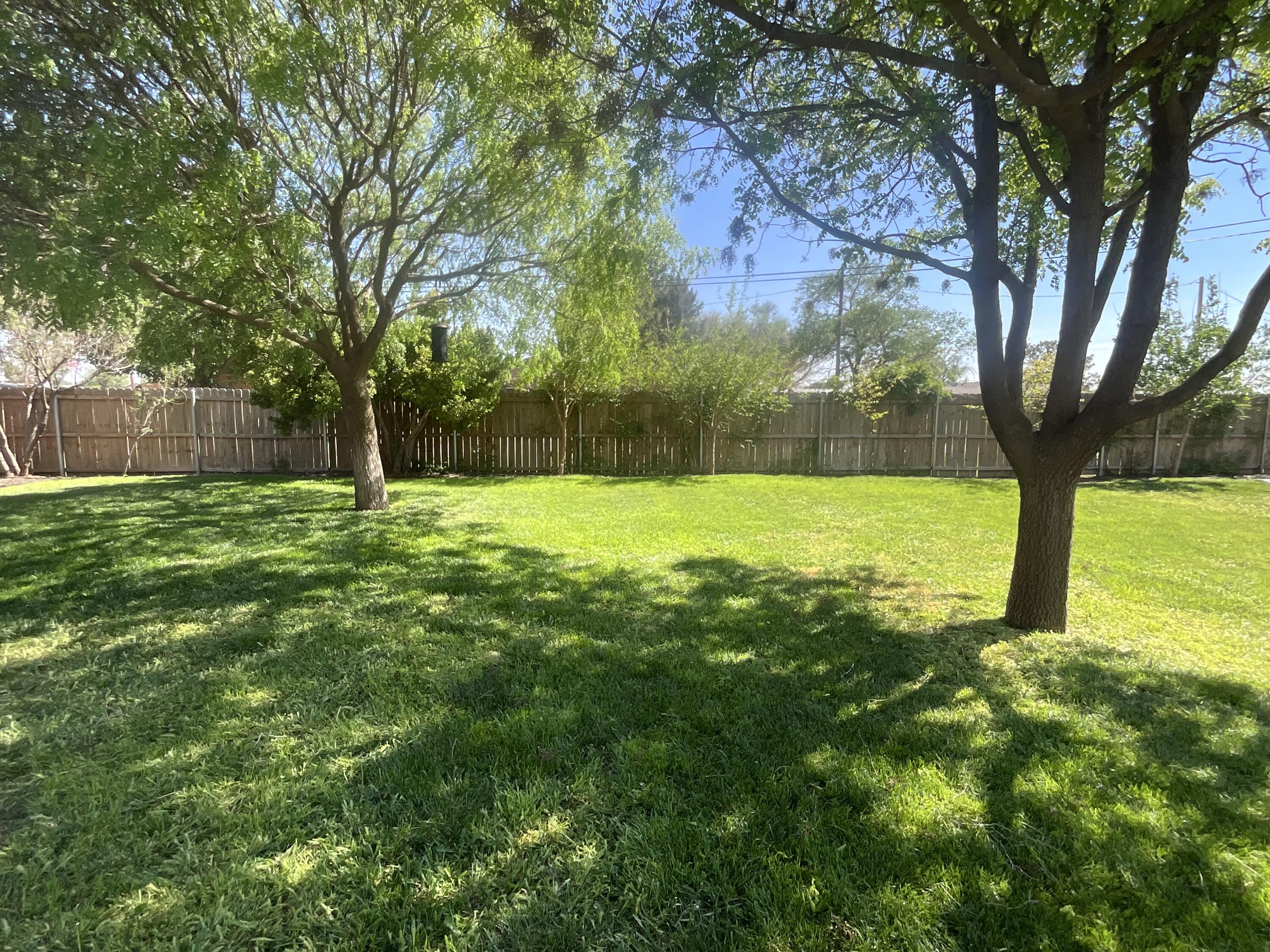 211 Reed Avenue Whitharral, TX 79336 - Photo 19 of 20 a view of an trees with a yard