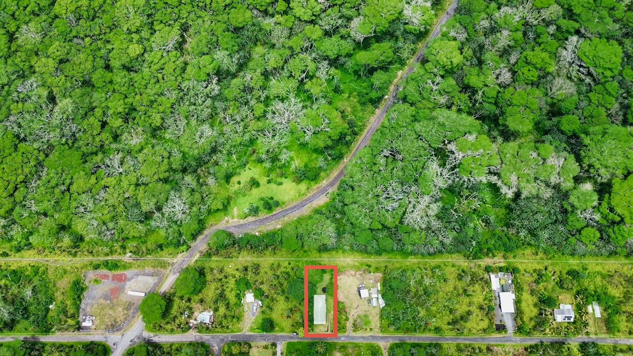 14-3449 Mauna Kea Road Pahoa, HI 96778 - Photo 20 of 25