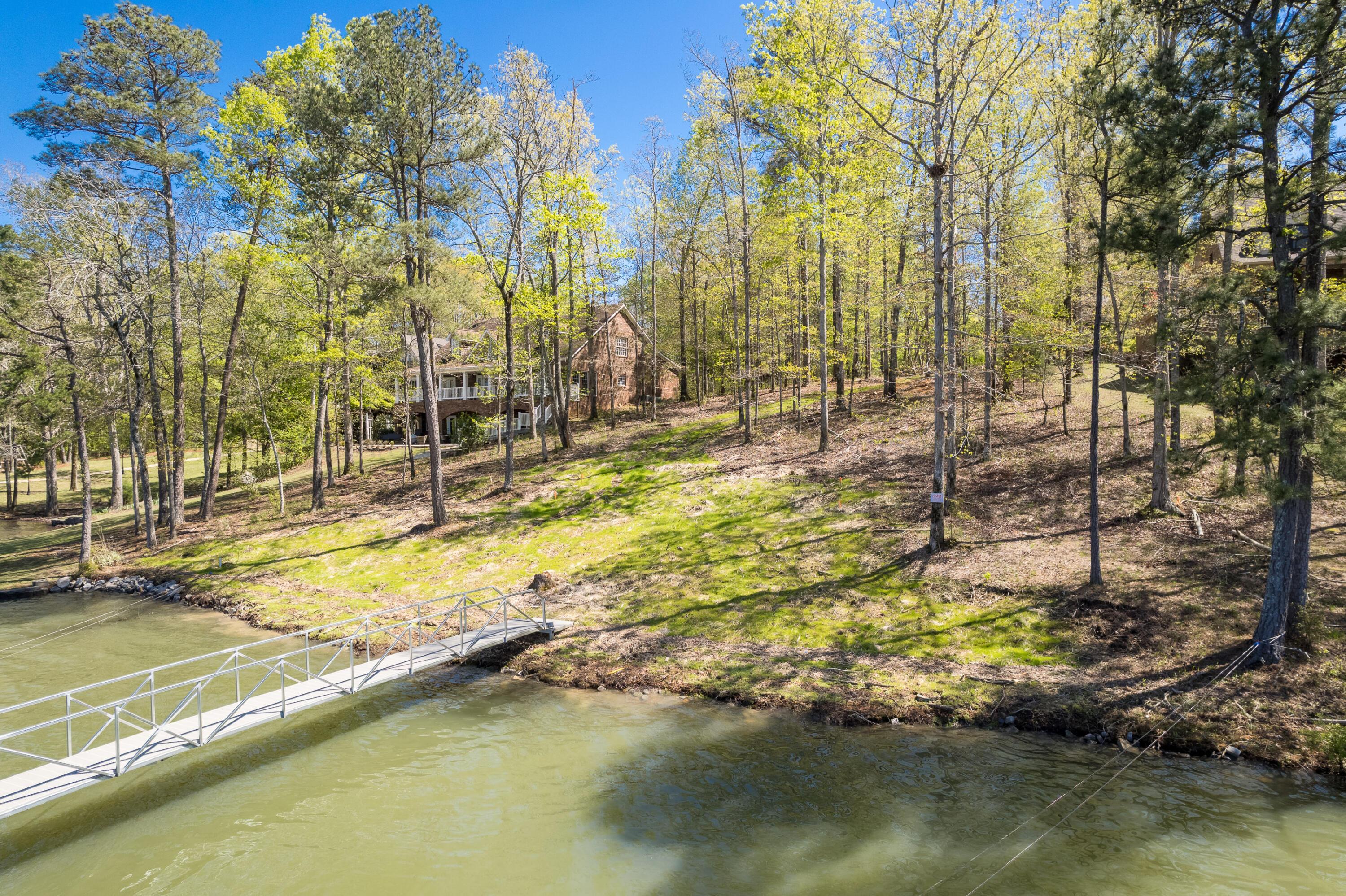 567 Stoney Point Road South Double Springs, AL 35553 - Photo 3 of 22 Lakeside/Shoreline